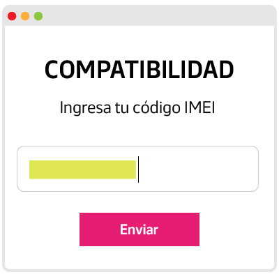 Paso 4